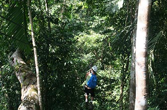 Jamaica-Canopy-Tour