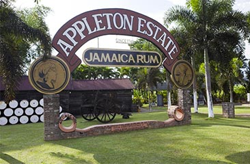 appleton-rum-s