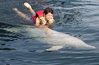 swim-with-dolphins-jamaica